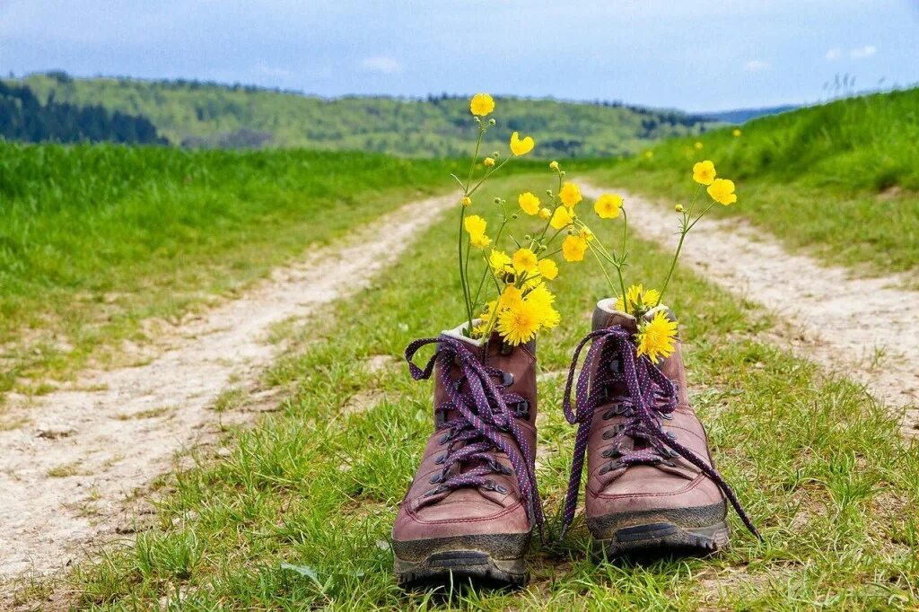 Ни чьих шагов. Цветы в ботинках. Весеннее путешествие. Радость жизни природа. Обувь на природе.