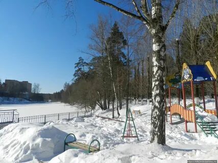 Лесной власиха