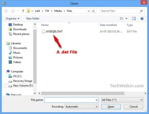Open dat file. Dat файл. файл 1 на 1. 1. что такое файл?. как открыть dat файл.
