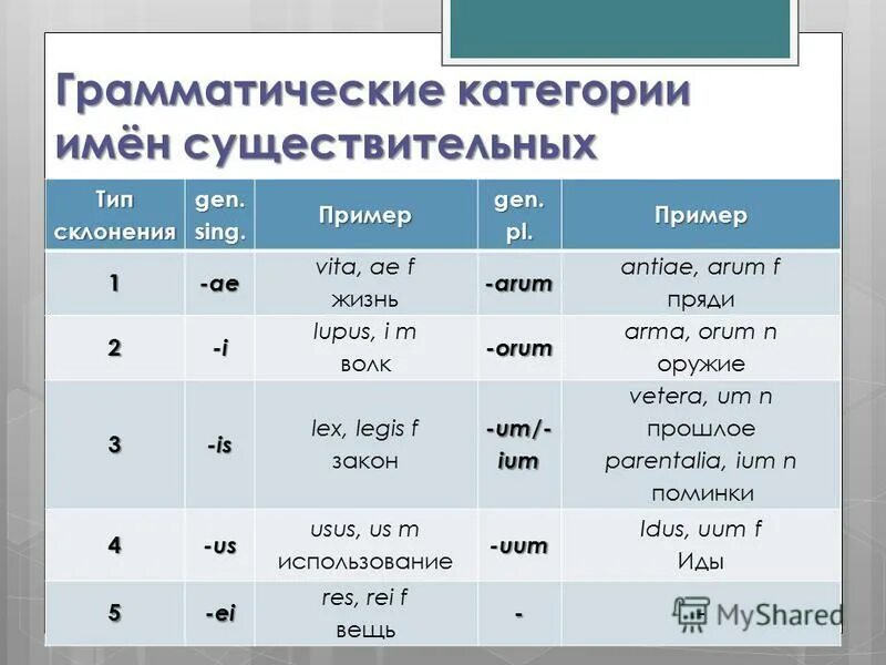 Грамматические категории существительного. Грамматические категории имен существительных. Категории имени существительного. Грамматическая категория рода имен существительных.