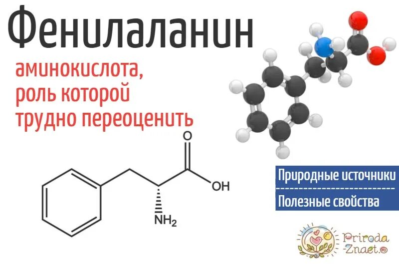 Фенилаланин молекула. Биологическая роль фенилаланина и тирозина. Превращение фенилаланина в фенилпируват. Фенилаланин аминокислота формула. Схема метаболизма фенилаланина.