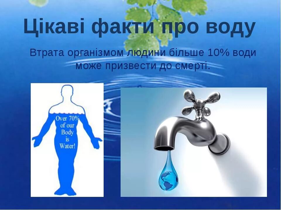 Статья про воду. Цікаві факти про воду. Вода для презентации. Цікавий факт. Интересные факты о воде.