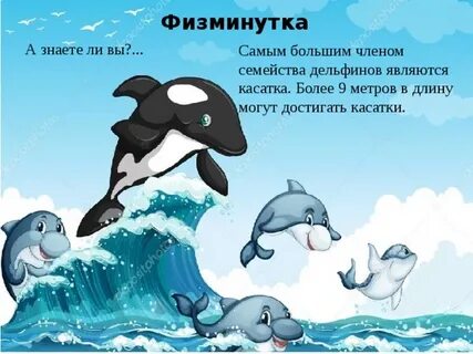 Впр текст дельфины