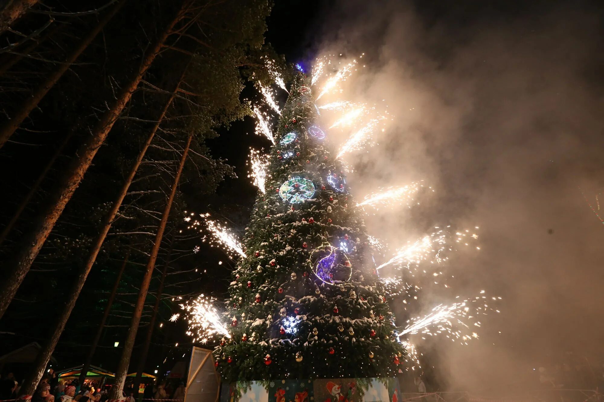 С новым 2013 годом. Голубой огонек 2011. Прикольные новогодние картинки. Открытка в новый год. Новый год 2013.