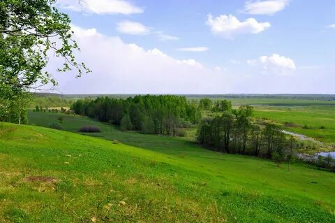 Московская область поверхность края