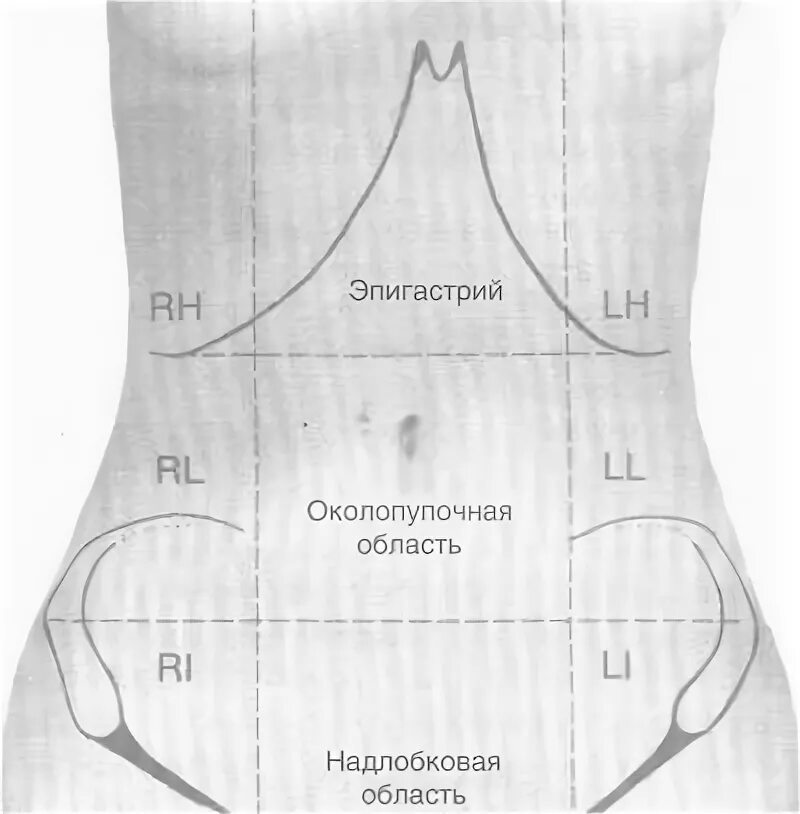 Эпигастральной области. Надлобковая область живота. Болит в эпигастральной области. Зона эпигастрия.