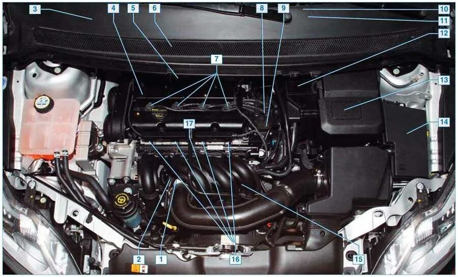 Датчики на двигателе Форд фокус 2 1.6. Двигатель Форд фокус 2 1.6 115 датчики. Датчики двигателя Форд фокус 2 1.8. Форд фокус 2 1.6 100 л.с. Форд фокус 2 хэтчбек двигатель
