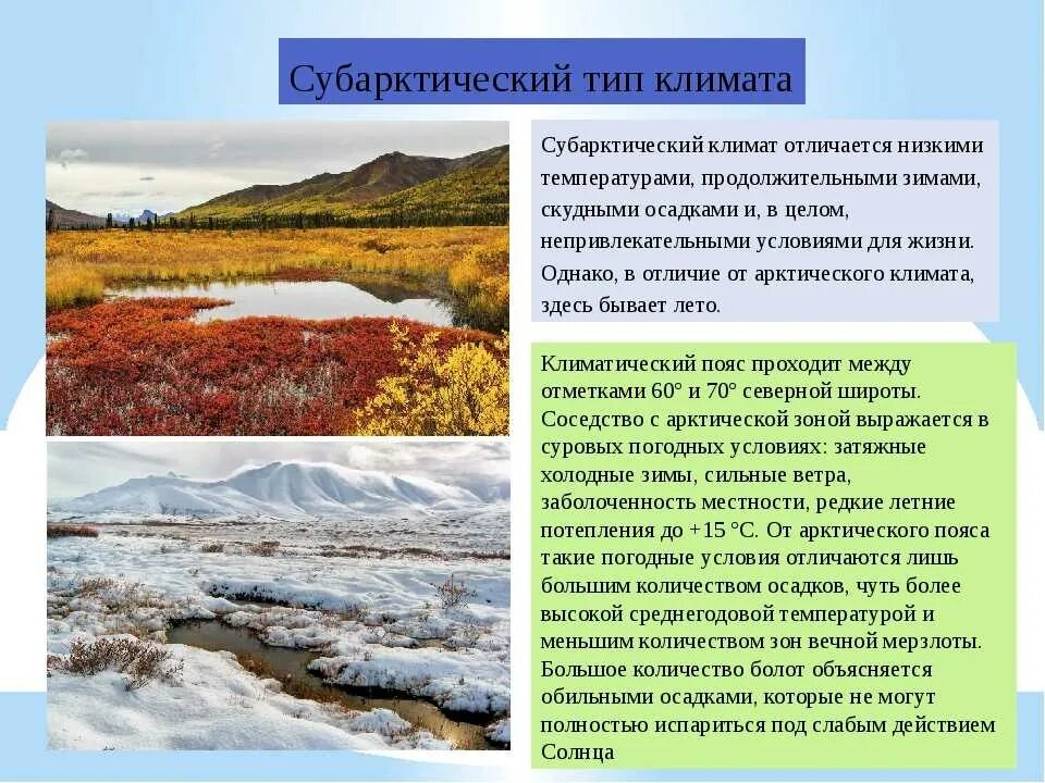 Особенности климата природной зоны тундры. Субарктический и Субантарктический климат. Тип климата субарктического пояса. Субарктический климат морской тундры. Подтипы субарктического климата.