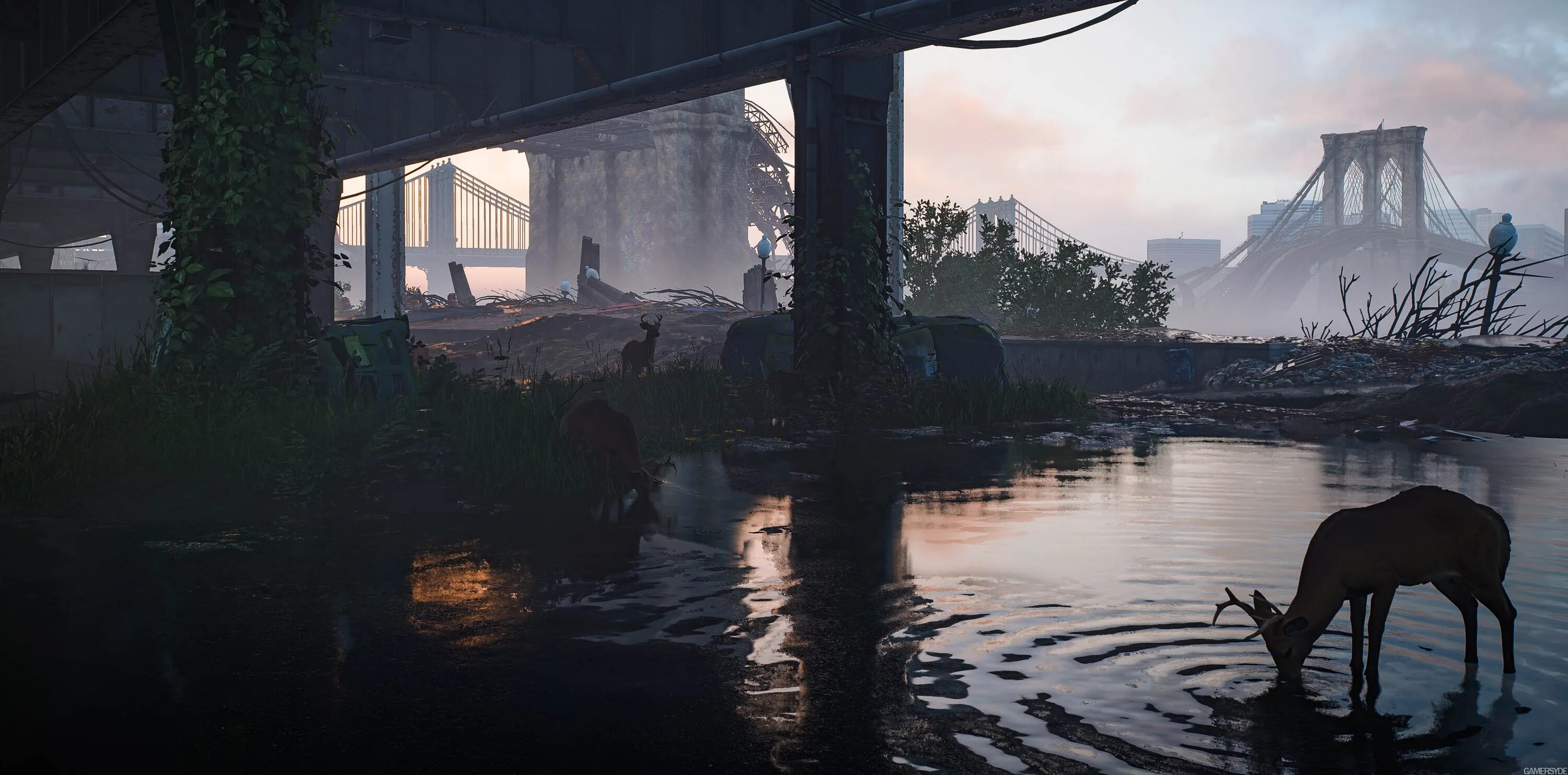 The warlord who returned to level 2. Division 2 воители нью йорка. tom clancy&#039;s the division 2 воители нью йорка. дивижн 2 нью йорк. tom clancy s the division 2 нью-йорка.