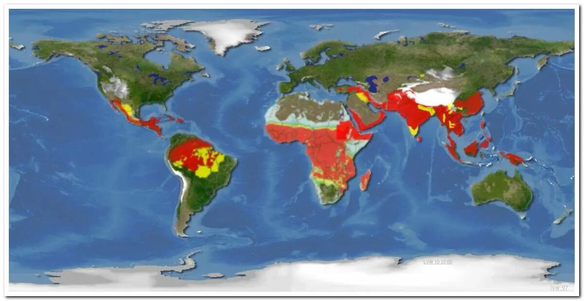 Распространение малярии. Карта распространения малярии в мире 2021. Мировой Ариал распространения малерии. Малярия ареал распространения. Ареал распространения малярийного плазмодия.
