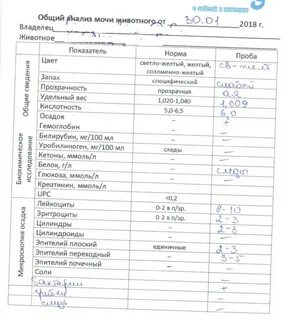 Почечная недостаточность какой анализ