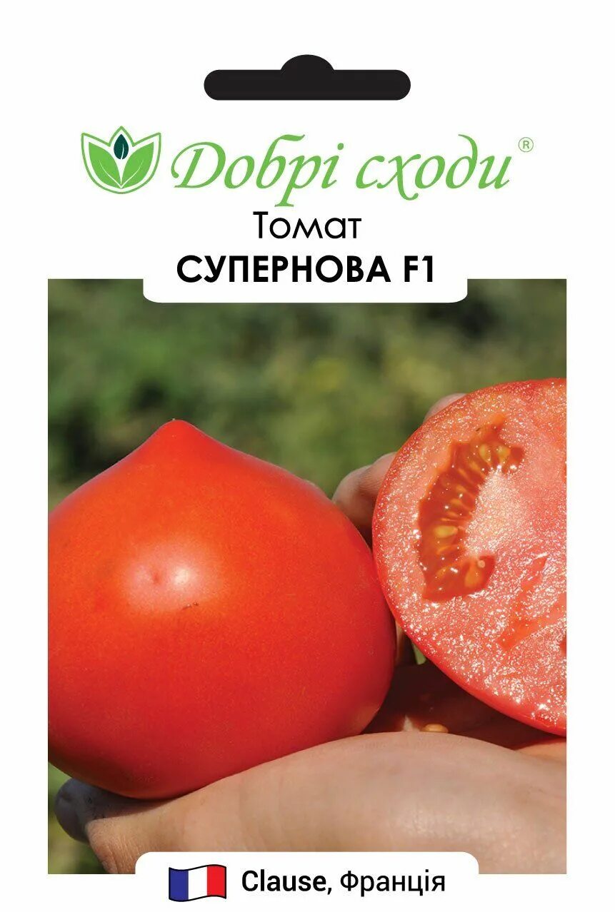 Томат золушка. Томат сверхновая f1 (каста). Томат супернова. Томат фенда. Томат супернова f1.