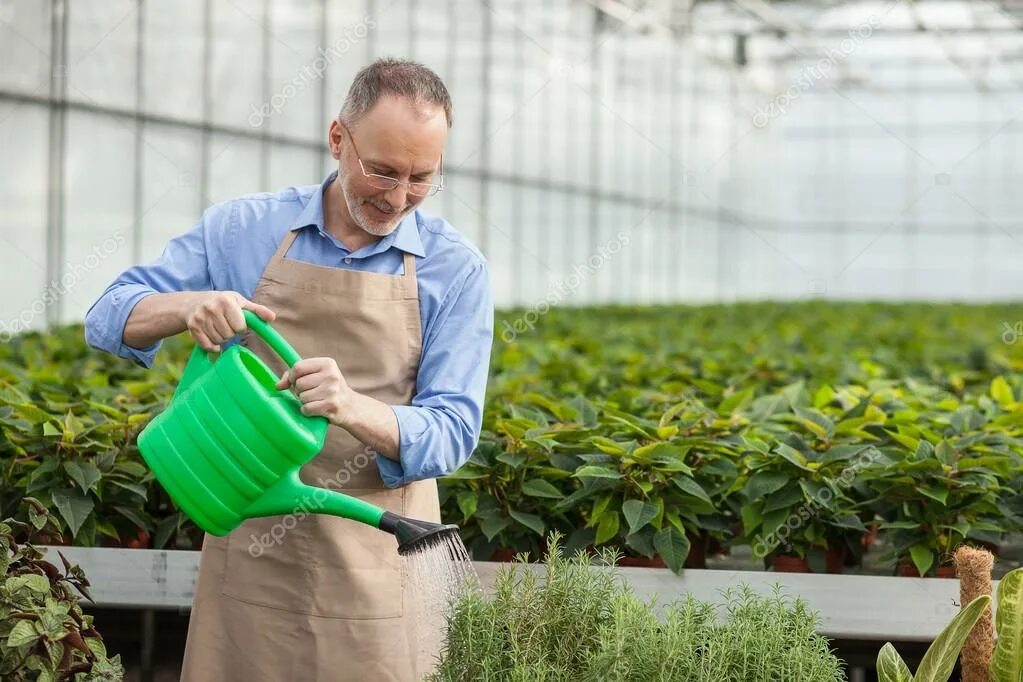 We were watering the plants. Работник в саду. Садовод работник в саду. Садовник держит в руках горшки с цветами. Мужчина поливает цветы.