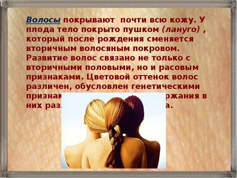 Слова связанные с волосами