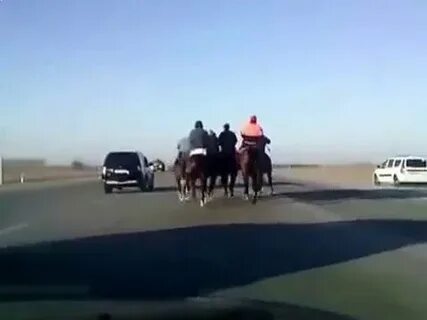 Videos kz