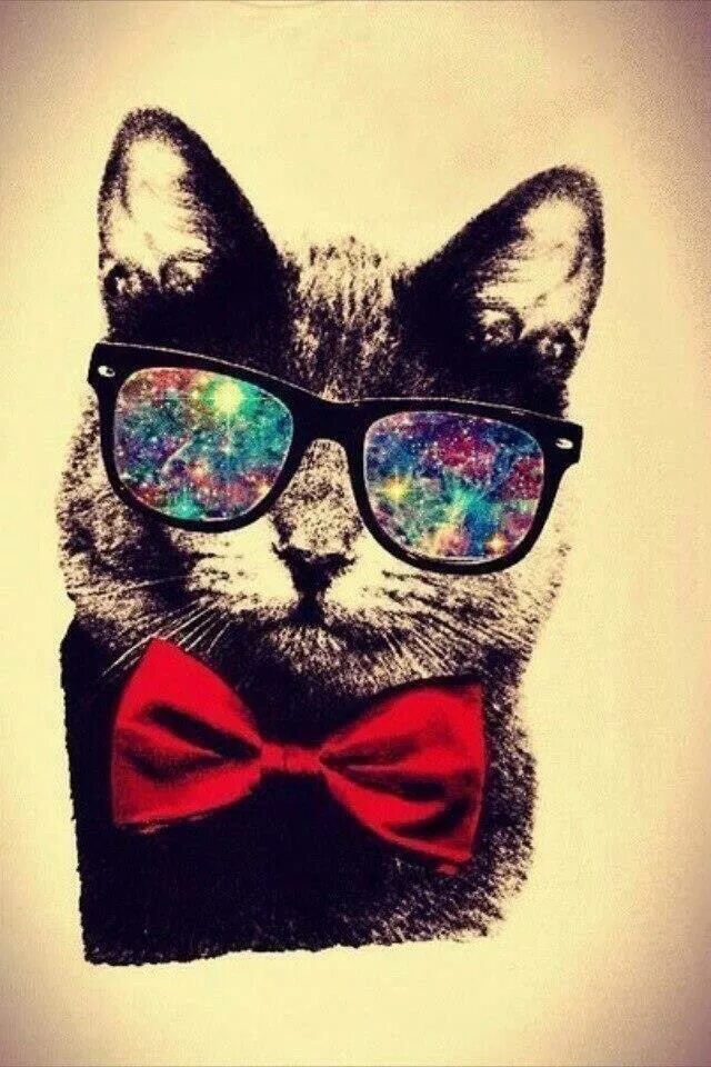 Крутой кот. Крутые коты в очках. Классные аватарки. Крутой котик в очках. Что ставить на аватарку