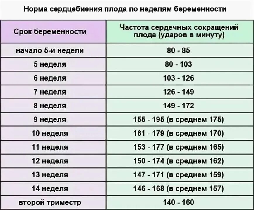 12 недель ударов в минуту