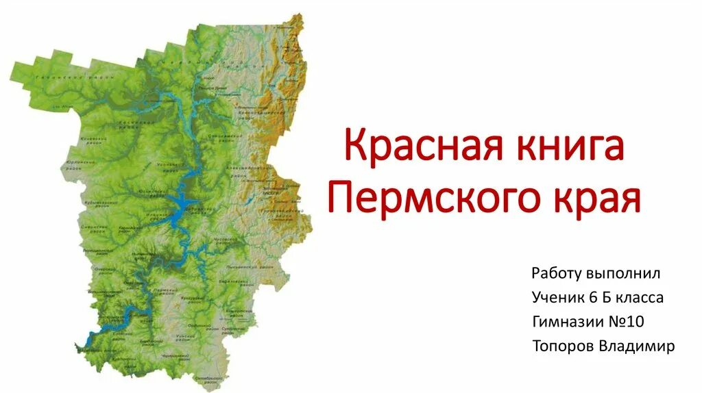 Сведения пермского края. Красная книга Пермского края. Карта Пермского края. Животные красной книги Пермского края. Красная книга Пермского края обложка.