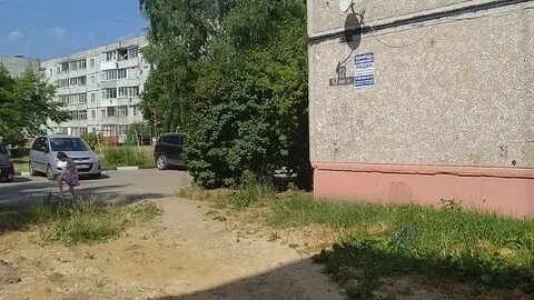 Ремонт рославль