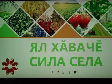 Сила села