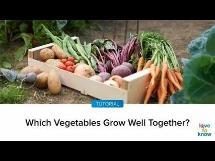 Grow vegetables перевод на русский