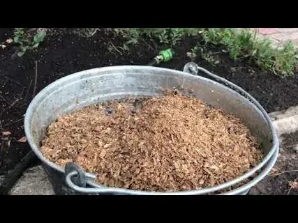 Как отделить прополис от воска