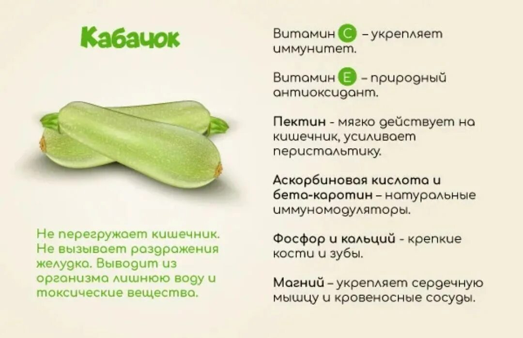 Семечки кабачка польза и вред. Кабачки состав витаминов и микроэлементов. чем полезен кабачок. чем полезны кабачки для женщин. кабачки польза.