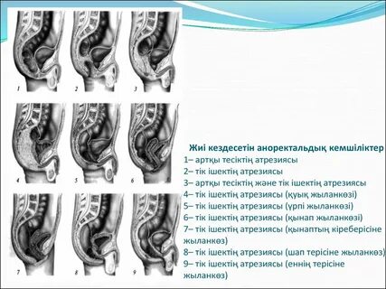 Минет тұншығып қалады