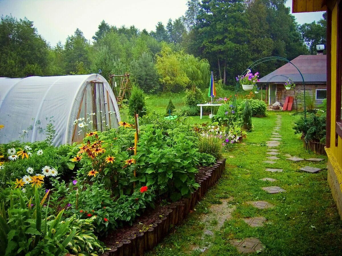 Можно ли сейчас на дачу. Огород летом. Огород на участке. Дачный участок. Дача сад огород.