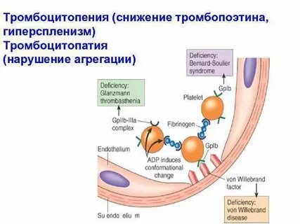 Тромбопоэтин