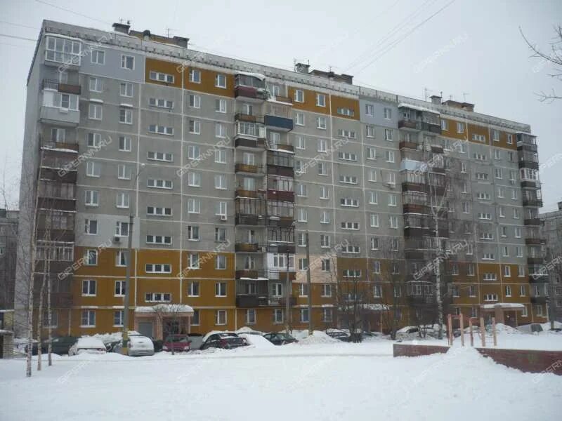 Общественная организация Право на жизнь на улице Германа Лопатина в Нижнем Новго