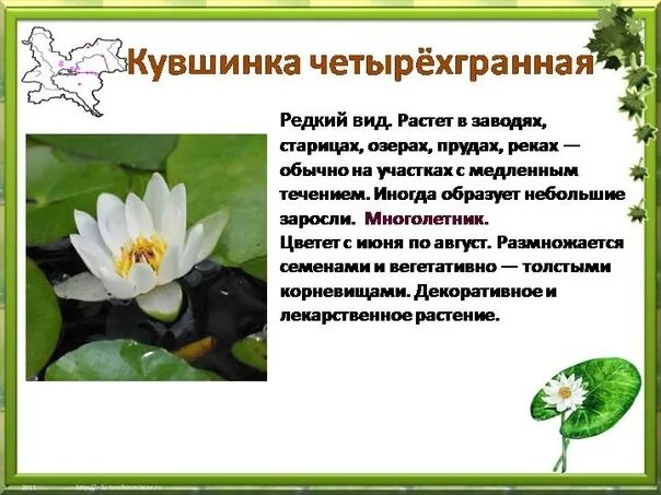 Заключение на тему национальные парки. Особые охраняемые природные территории россии. Охрана природы и охраняемые территории. Растения нуждаются в охране. Особо охраняемые памятники природы.