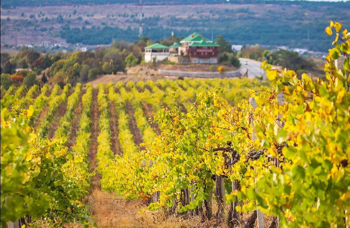 питомник бахчисарай