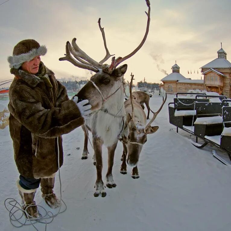 республика саха оймякон. оймякон полюс холода. стойбище оленеводов ненецкий автономный округ. якутия олени оймякон. якутия олени оймякон.