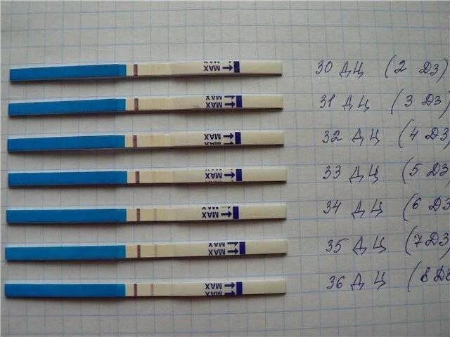 После какого дня задержки показывает тест. Тест на беременность 1 и на 2 день задержки. тест на беременность 1 день задержки. тесты после задержки месячных. на какой день задержки показывает тест.