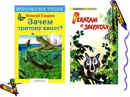 Н сладков 1 класс