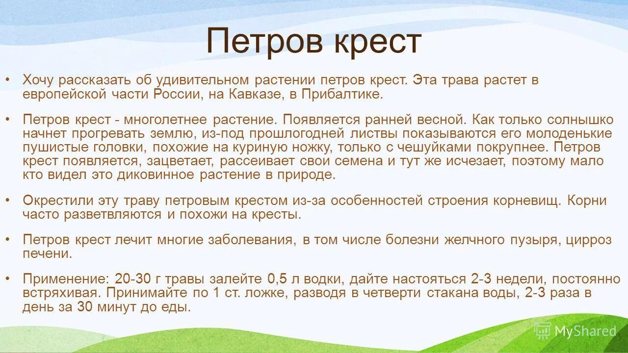 настойка петра креста