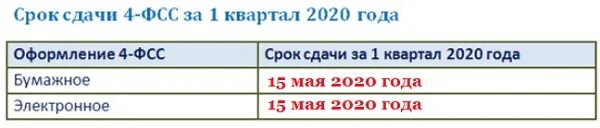 Ефс за 1 квартал 2024 срок сдачи