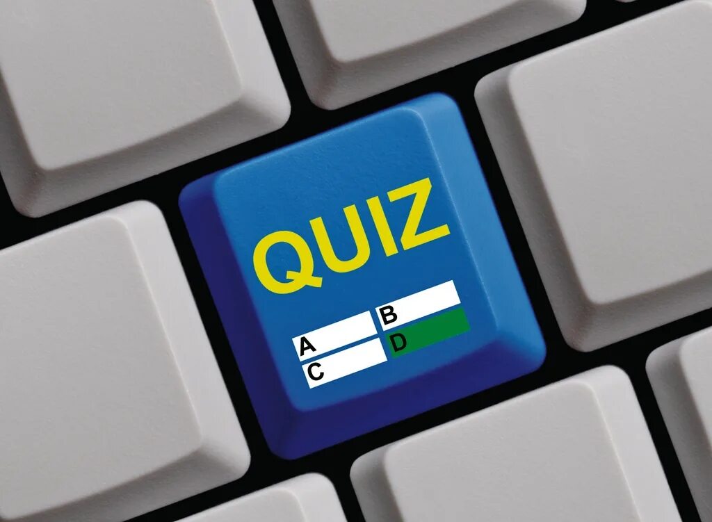 Квиз. Квиз кнопка. Quiz services