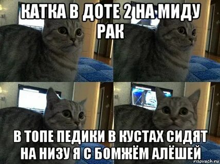 Ни зу я