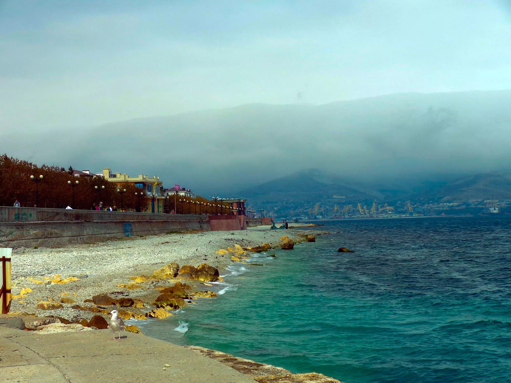 Новороссийск novorossiysk море. Черное море Новороссийск. Берег черного моря Новороссийск. Черное море Новороссийск лето.