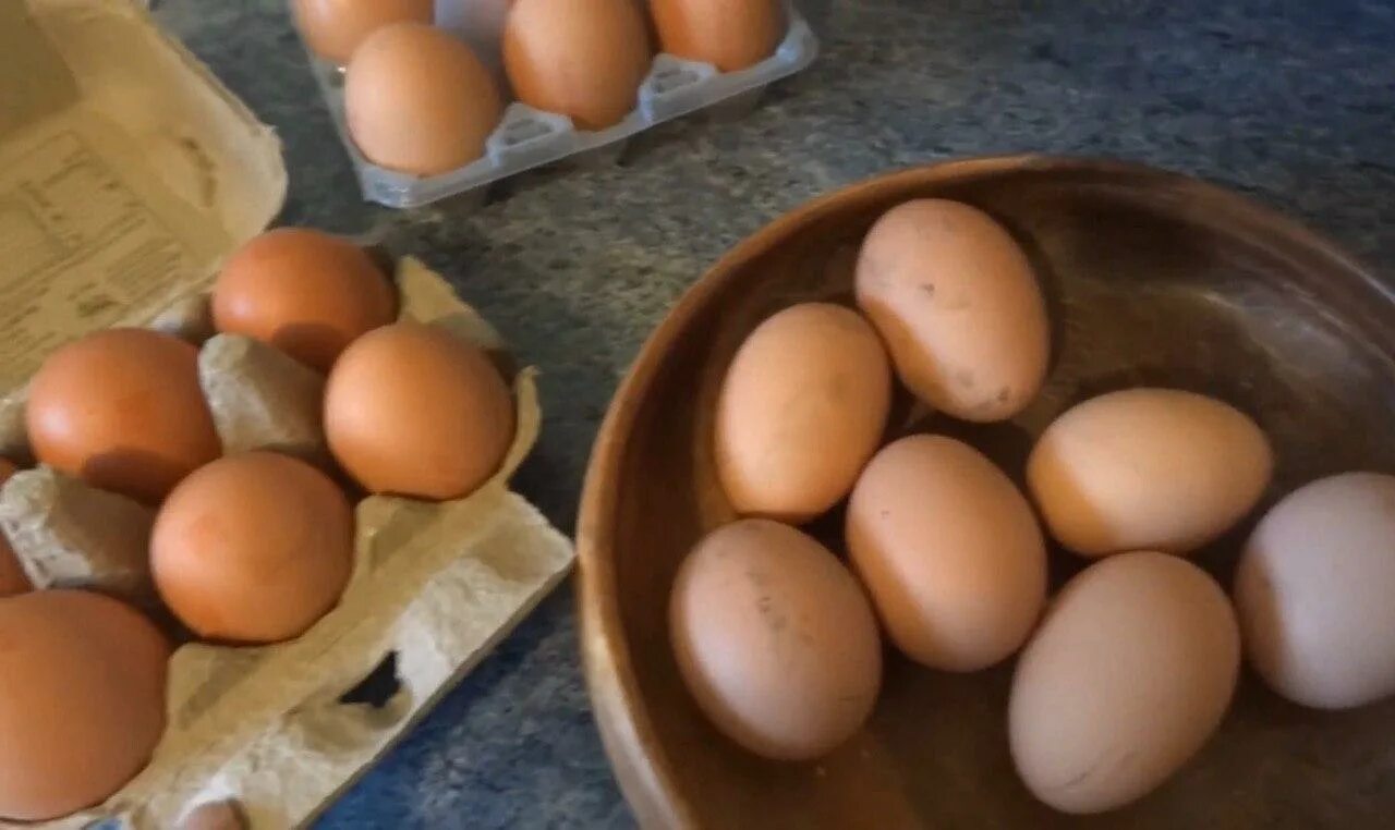 Домашние яйца. Яйца магазинные. Домашнее яйцо и магазинное. Яйца куриные Деревенские.