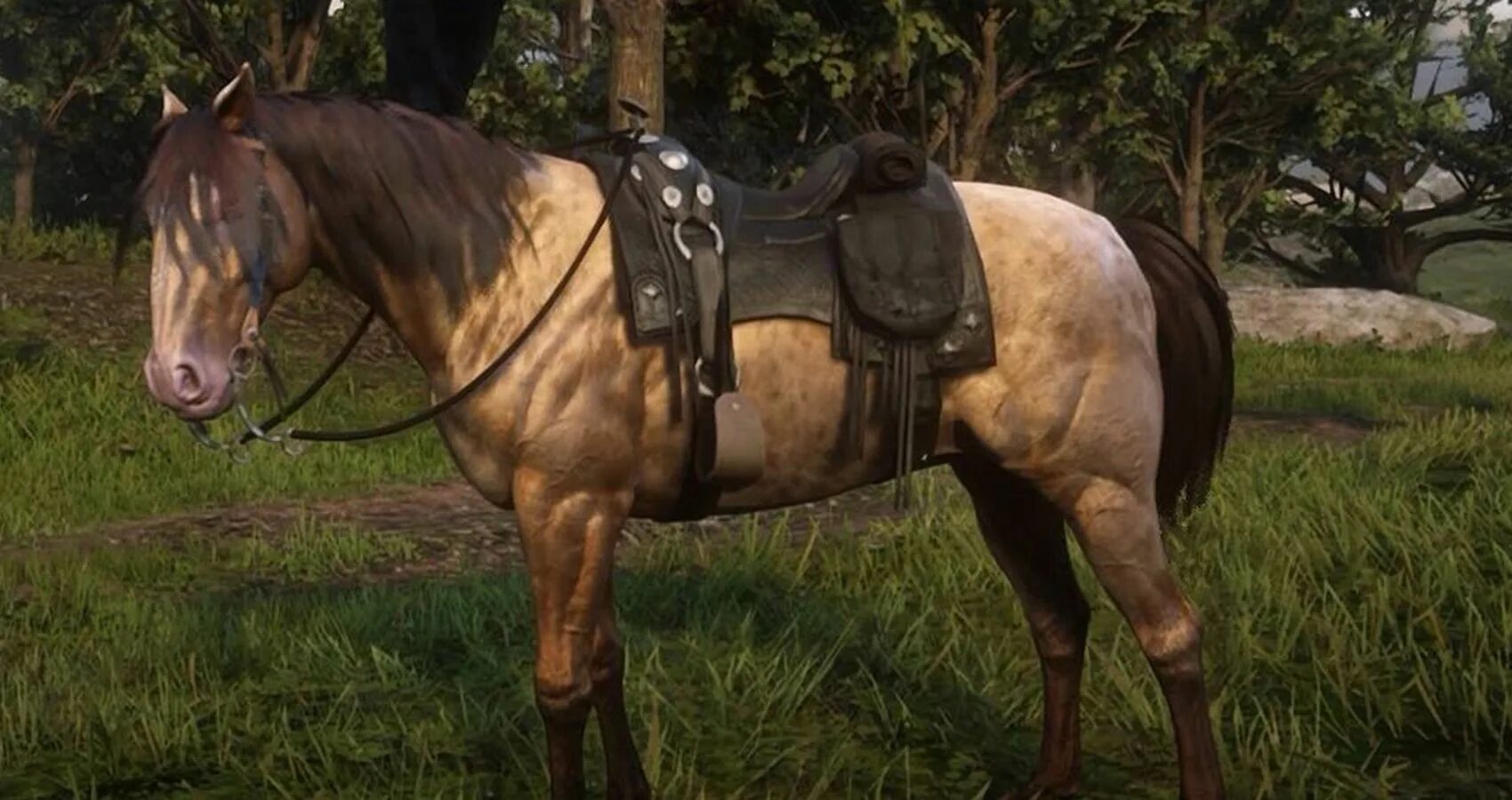 Где найти хорошую лошадь в рдр. Red dead redemption 2 лошади. red dead redemption 2 кони. лошади в ред деад редемптион 2. арабская лошадь рдр 2.