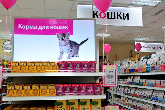 Магазин кошечек. Кошка в магазине. Магазин Ашек. Магазин котов. Ценники для зоомагазина.