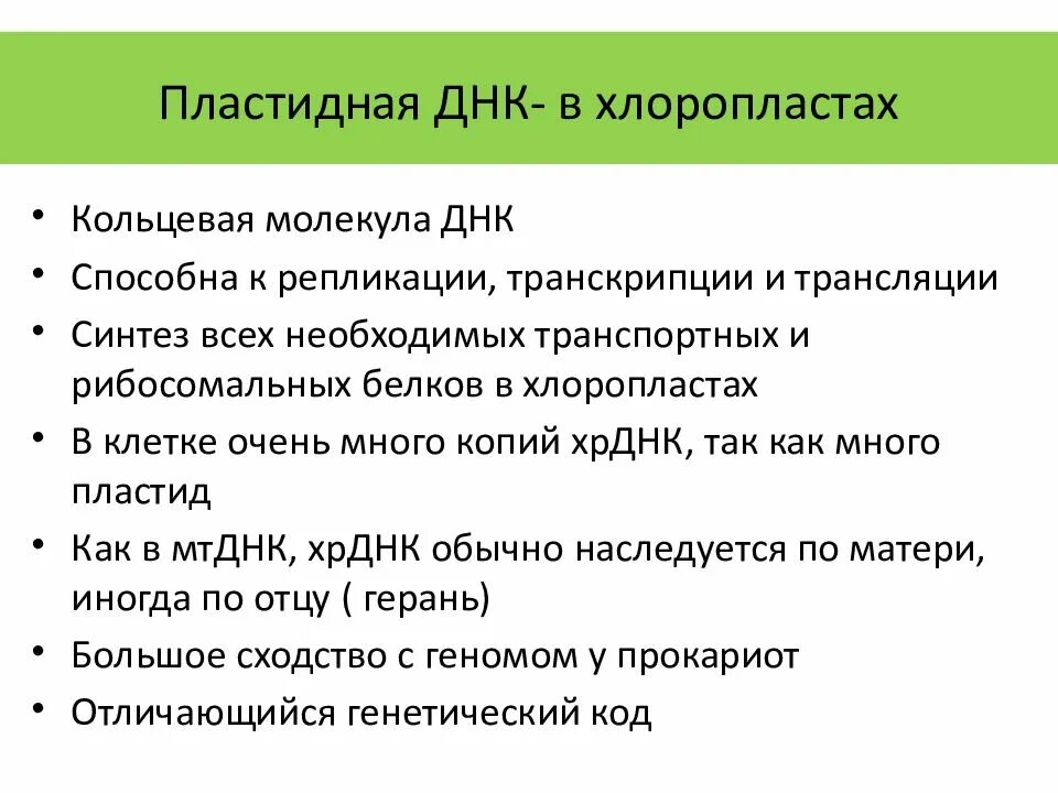 Хлоропласт имеет днк. ДНК хлоропластов. Функции ДНК В хлоропласте. Кольцевая ДНК В хлоропластах. Функции кольцевой ДНК В хлоропластах.