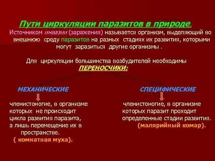 Пути циркуляции