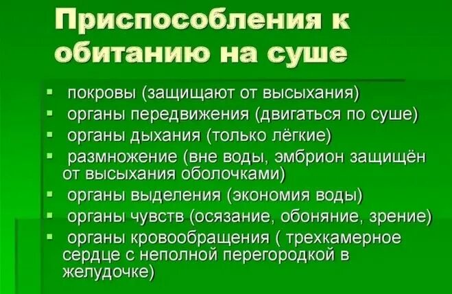 Какие приспособления возникли в процессе эволюции рептилий