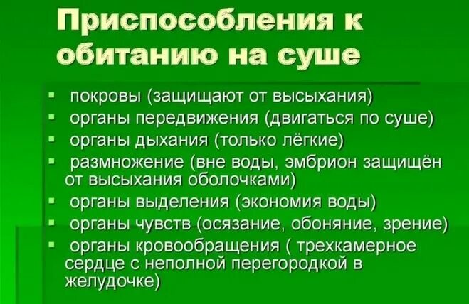 Процесс жизнедеятельности пресмыкающихся. Основные черты пресмыкающихся. Черты строения рептилий. Признаки строения пресмыкающихся. Важные признаки пресмыкающихся.