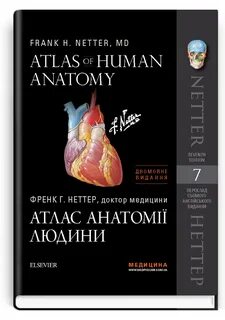 Атлас неттер 7 издание