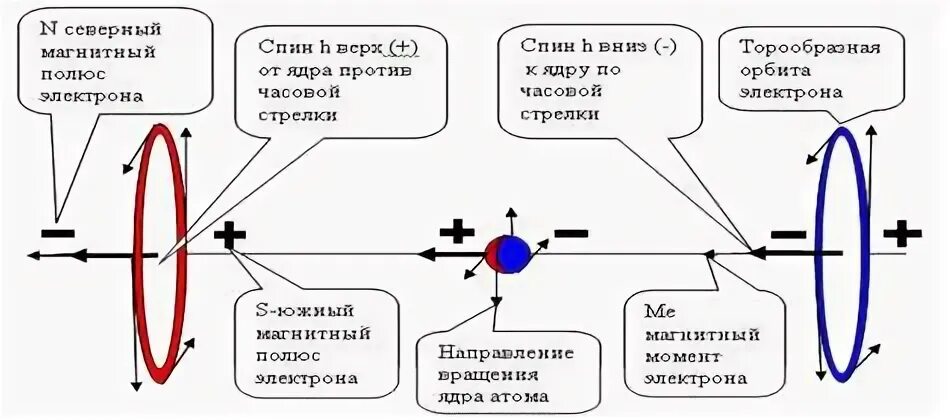 Спин электрона спин ядра. Что такое спин электрона в физике. Чему равен спин электрона. 11 Класс спин электрона. Связанная система элементарных частиц содержит 36 электронов